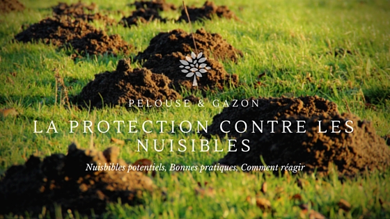 Protection Nuisible -Pelouse-et-Gazon