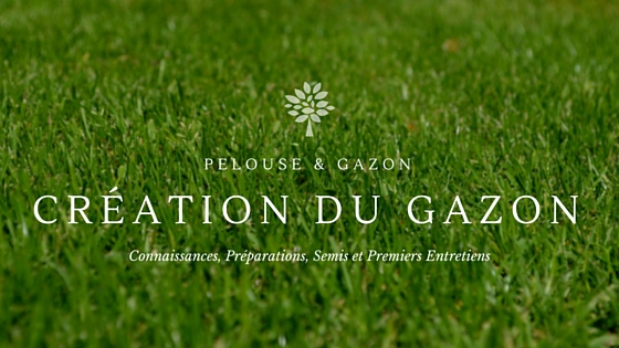 Y a-t-il Une Différence Entre La Pelouse et Le Gazon ?