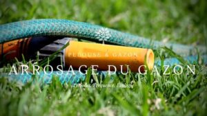 Le Guide de l'arrosage du Gazon