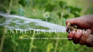 Guide d'entretien du Gazon - Pelouse&Gazon