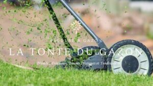 Le guide de la Tonte du Gazon par Pelouse-et-Gazon.fr