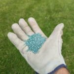 Fertilisation du gazon à l'aide d'un engrais NPK