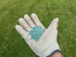 Fertilisation du gazon à l'aide d'un engrais NPK